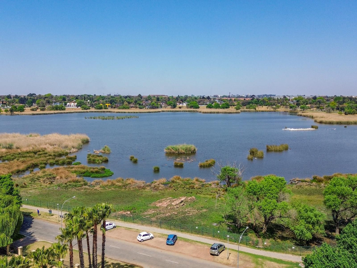 Rsa Lodge, Palm Tree, Plant, Nature, Wood, River, Waters, Aerial Photography