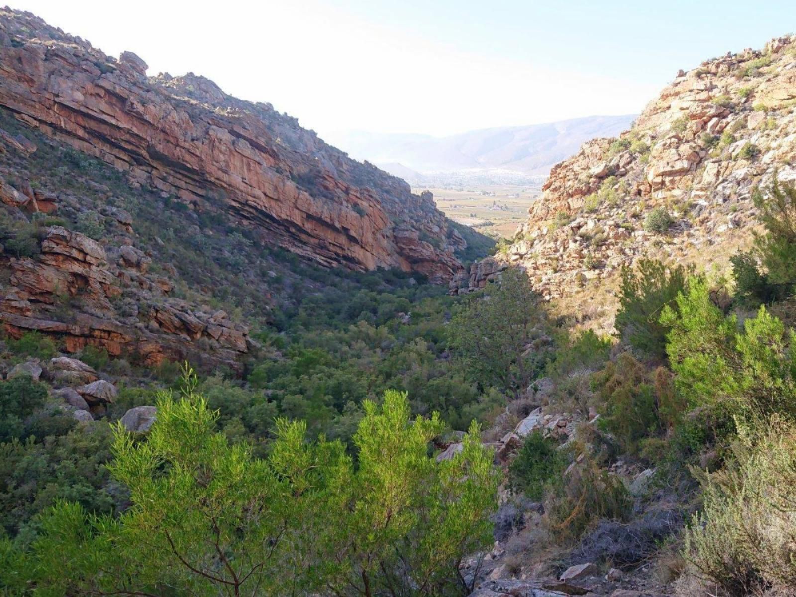 Ruah Camping Hex River Valley Western Cape South Africa Cactus, Plant, Nature, Canyon