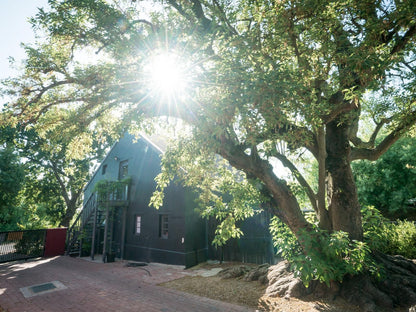 Ruby Rose Countryhouse Riebeek West Western Cape South Africa House, Building, Architecture, Plant, Nature, Tree, Wood