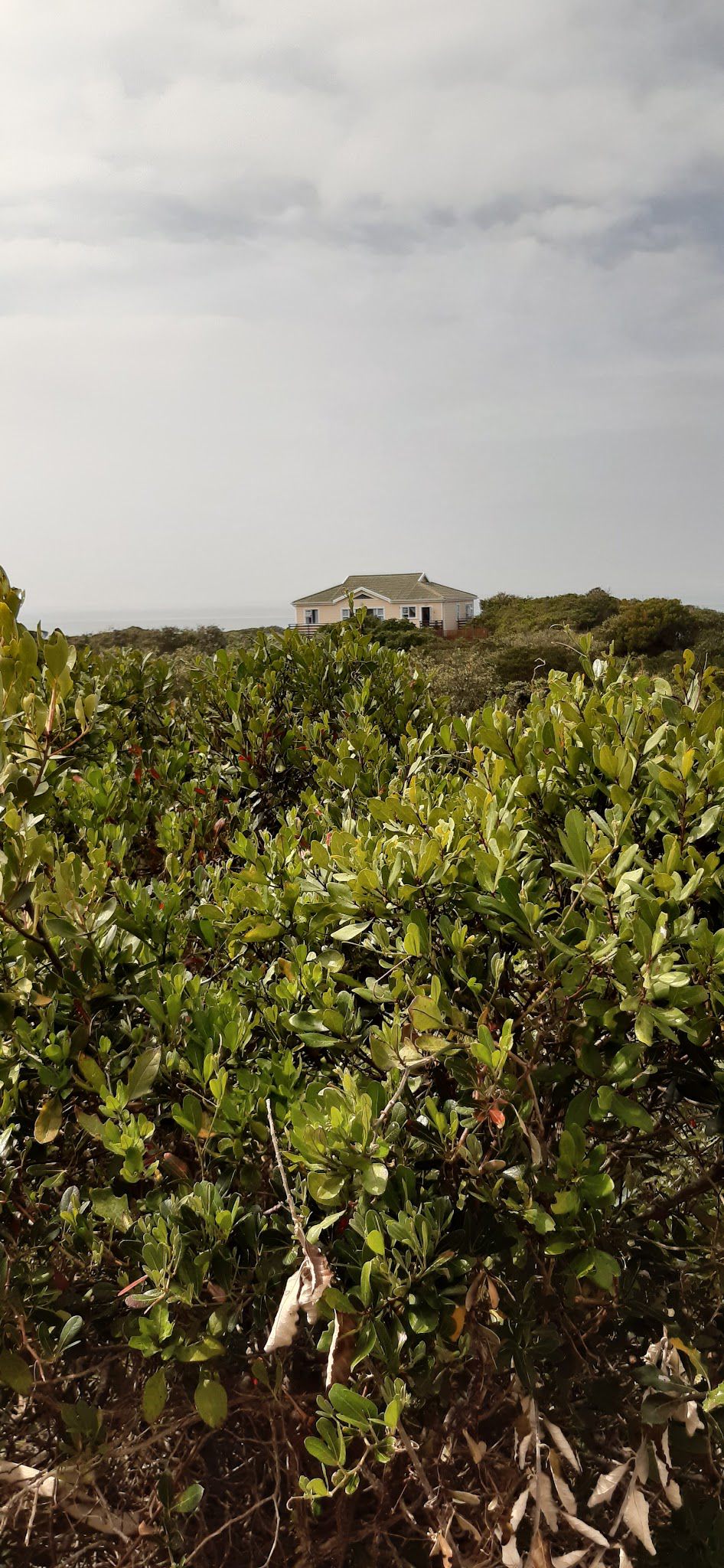 Rugged Rocks Beach Cottages Port Alfred Eastern Cape South Africa Beach, Nature, Sand