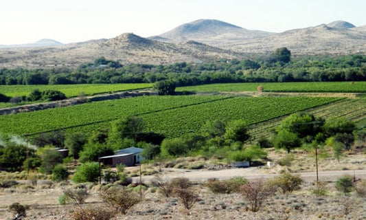 Ruimland Guesthouse Upington Northern Cape South Africa Field, Nature, Agriculture, Desert, Sand