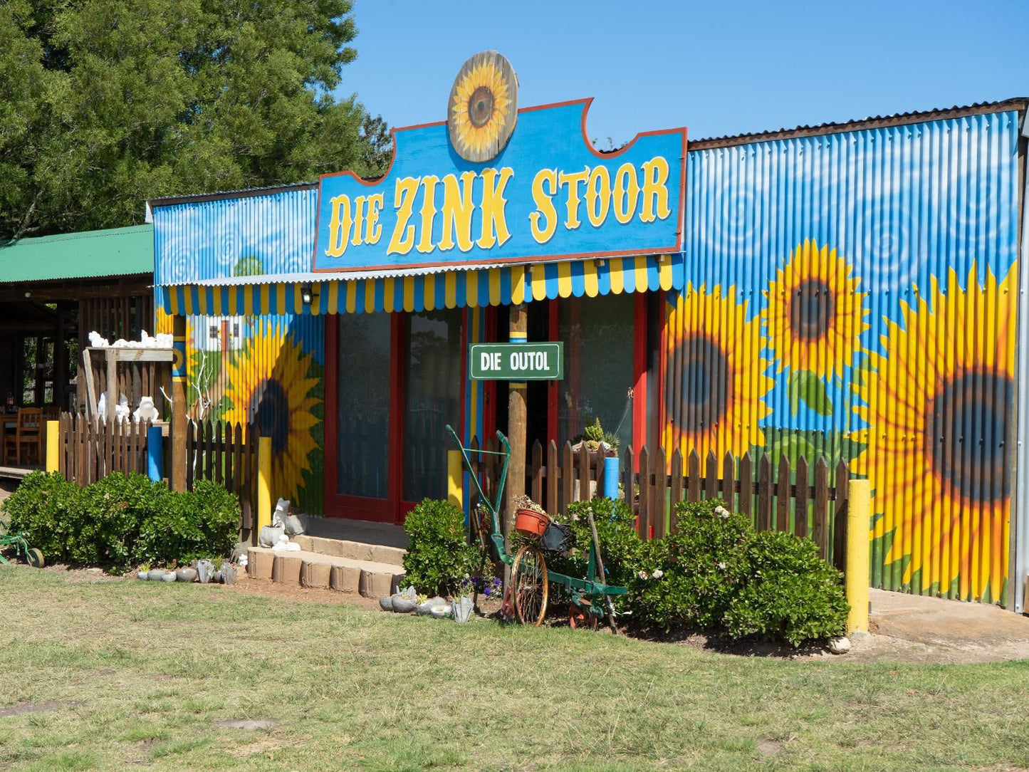 Ruiterbosch Lodge And Wedding Chapel Ruiterbos Western Cape South Africa Complementary Colors, Sunflower, Flower, Plant, Nature