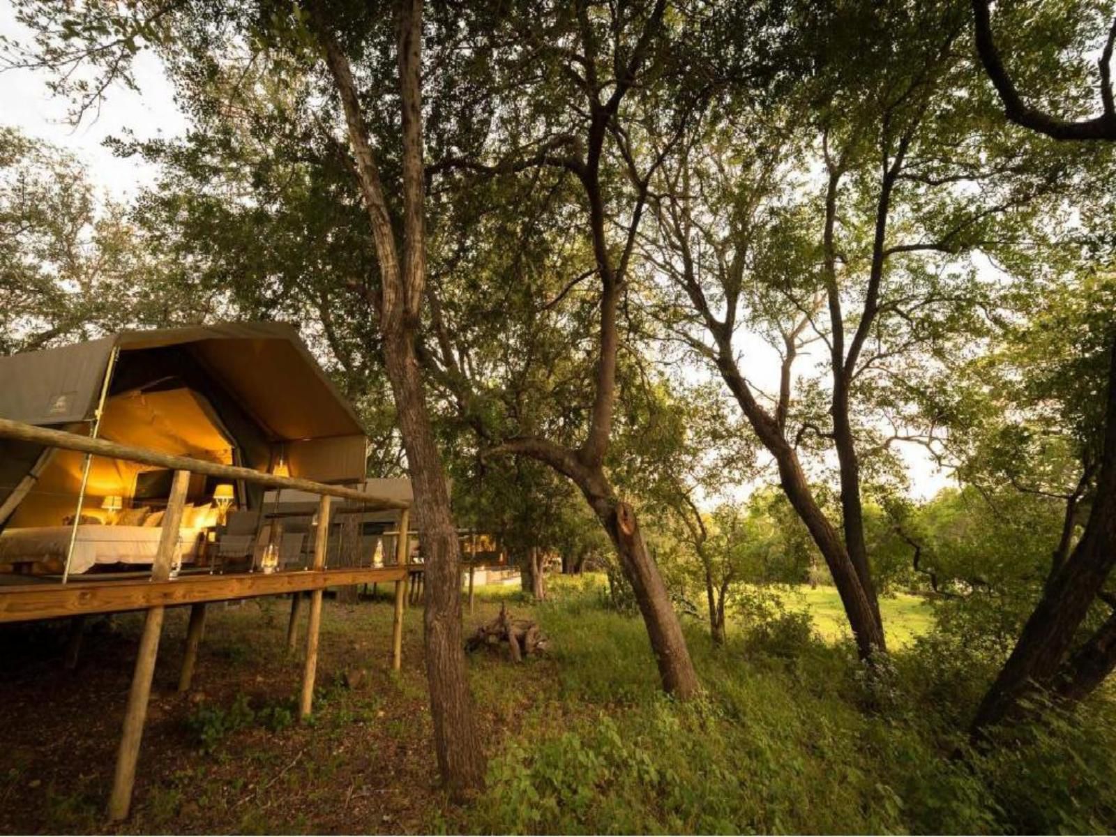 Rukiya Safari Camp Hoedspruit Limpopo Province South Africa Sepia Tones