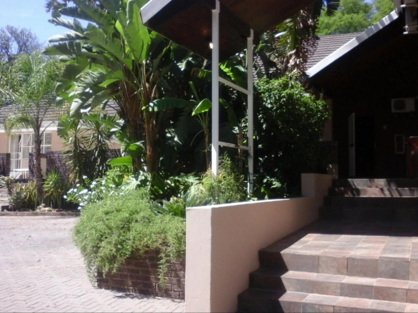 Rustenburg Guest House Rustenburg North West Province South Africa Palm Tree, Plant, Nature, Wood