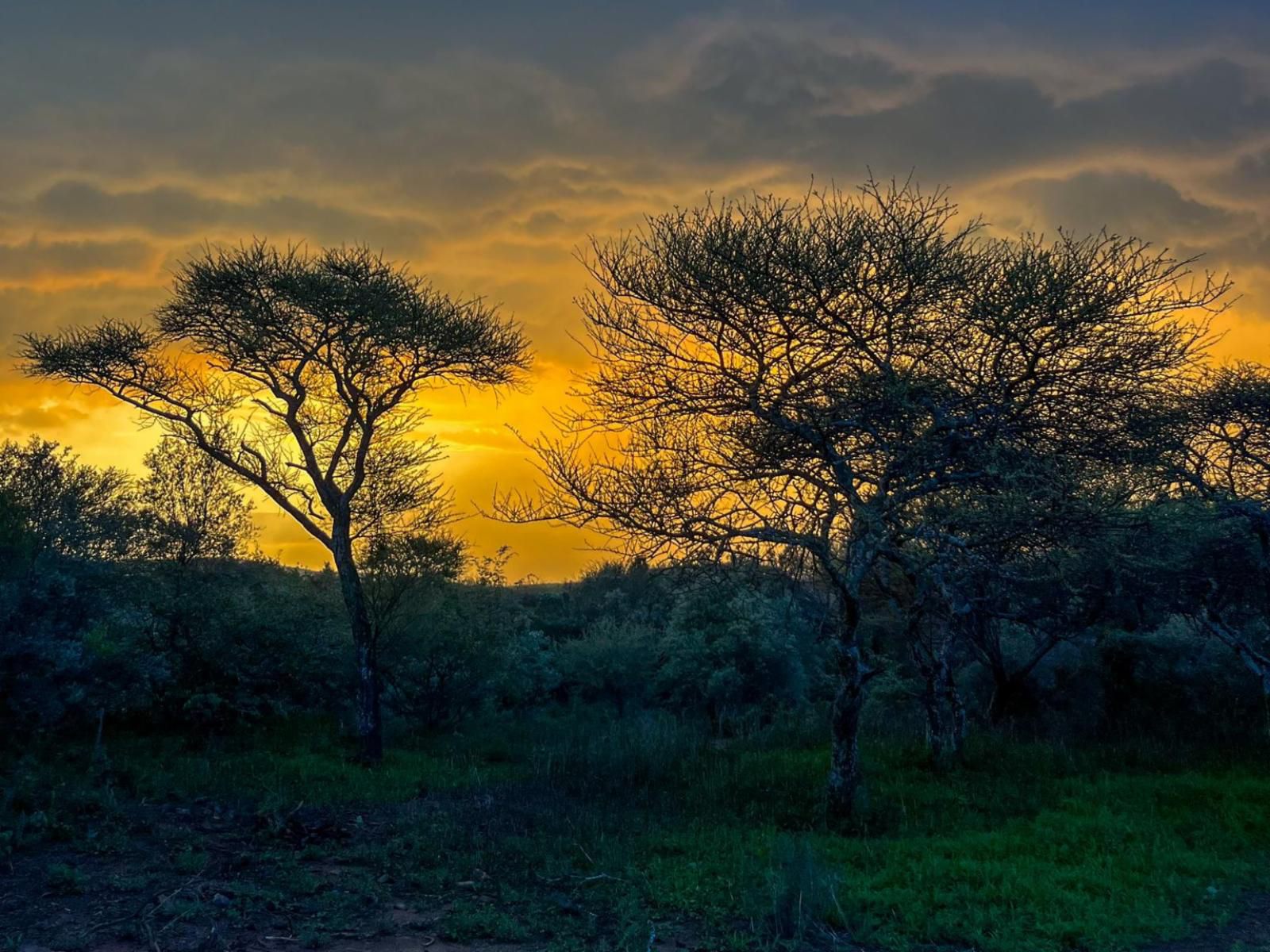 Rustenzicht, Nature, Sunset, Sky