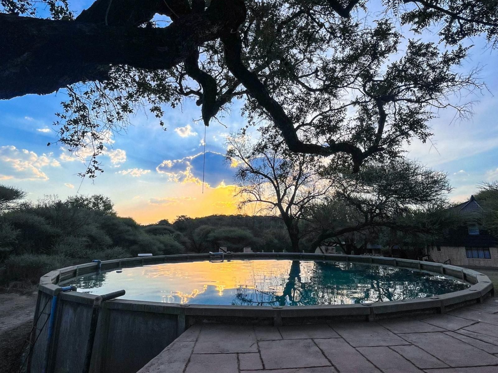 Rustenzicht, Framing, Garden, Nature, Plant, Sunset, Sky, Swimming Pool