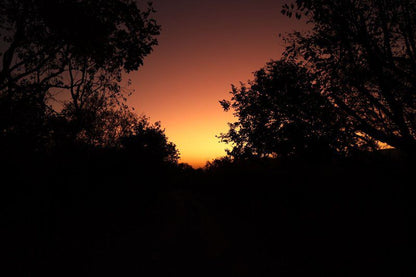 Rustgevonden Leeupoort Vakansiedorp Limpopo Province South Africa Dark, Sky, Nature, Sunset