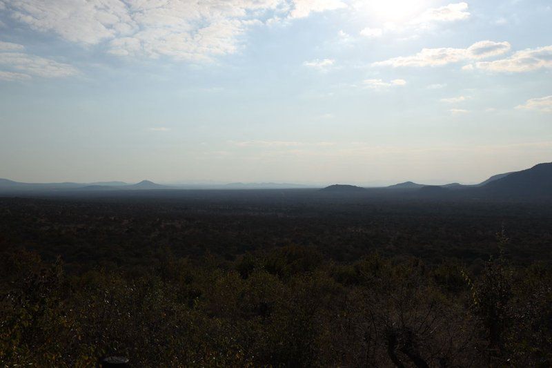 Rustgevonden Leeupoort Vakansiedorp Limpopo Province South Africa Cactus, Plant, Nature, Text