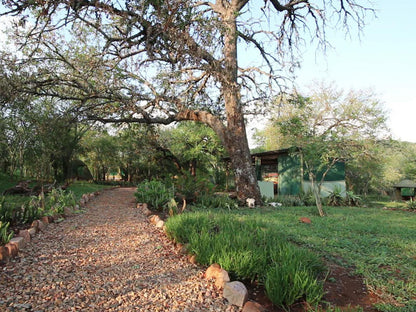 Rustic Bush Camp Self Catering Pongola Kwazulu Natal South Africa Plant, Nature, Garden