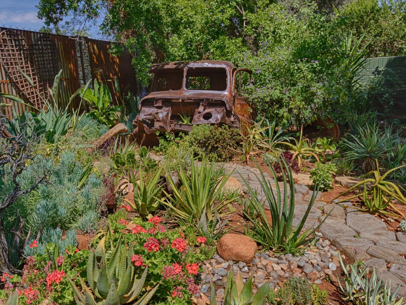 Rustic Forest Guest House Dan Pienaar Bloemfontein Free State South Africa Plant, Nature, Garden