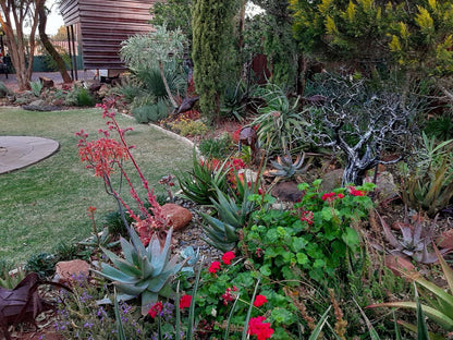 Rustic Forest Guest House Dan Pienaar Bloemfontein Free State South Africa Cactus, Plant, Nature, Garden