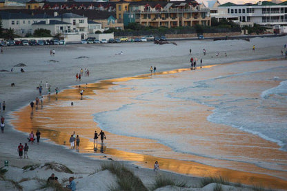 Ryan S Place Hout Bay Cape Town Western Cape South Africa Beach, Nature, Sand, Ocean, Waters