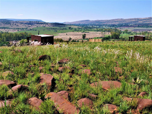 Saamrus Guest Farm, Field, Nature, Agriculture, Lowland