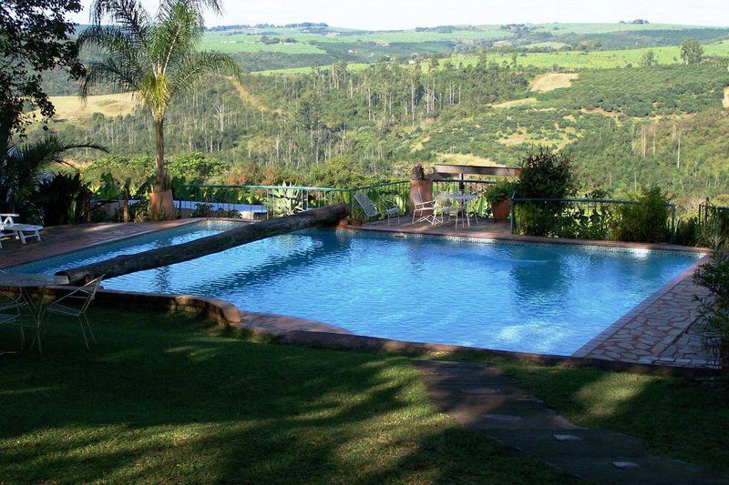 Sabaan Guest Farm And Events Venue Hazyview Mpumalanga South Africa Palm Tree, Plant, Nature, Wood, Garden, Swimming Pool