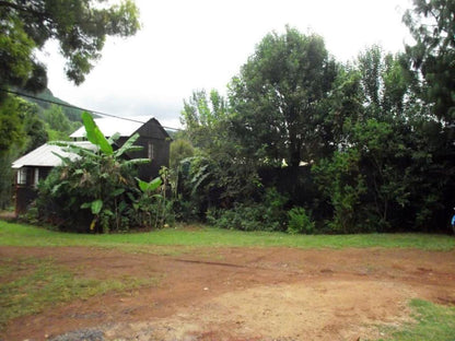 Sabie Gypsys Backpackers Sabie Mpumalanga South Africa Palm Tree, Plant, Nature, Wood