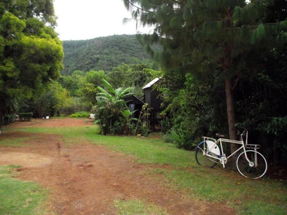 Sabie Gypsys Backpackers Sabie Mpumalanga South Africa Forest, Nature, Plant, Tree, Wood, Palm Tree, Highland, Bicycle, Vehicle