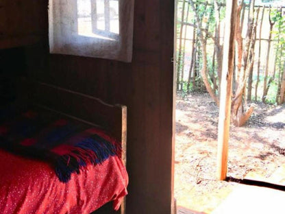 Single Person Cabin @ Sabie Gypsys Backpackers