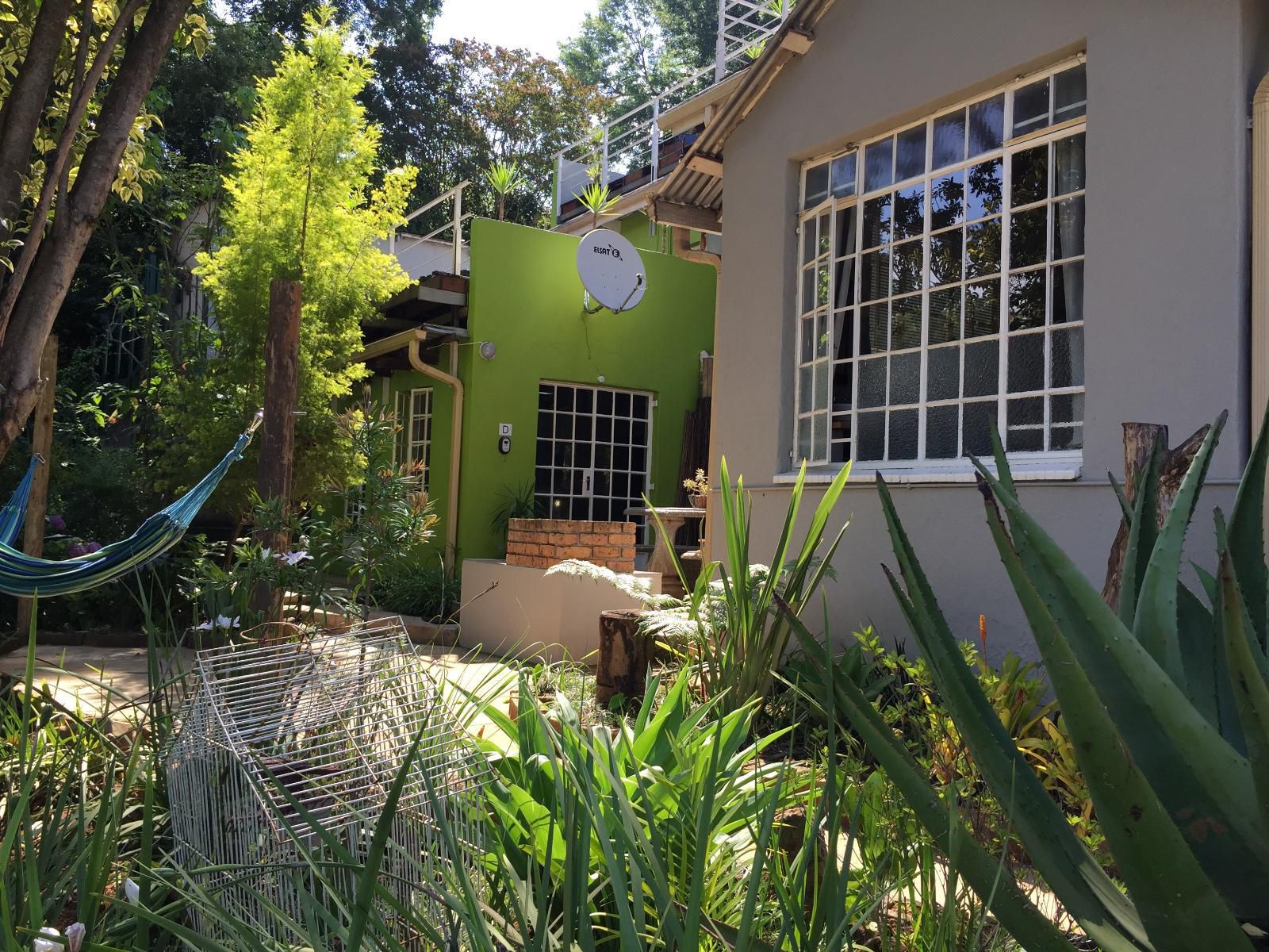 Sabie Self Catering Apartments, House, Building, Architecture, Palm Tree, Plant, Nature, Wood, Garden