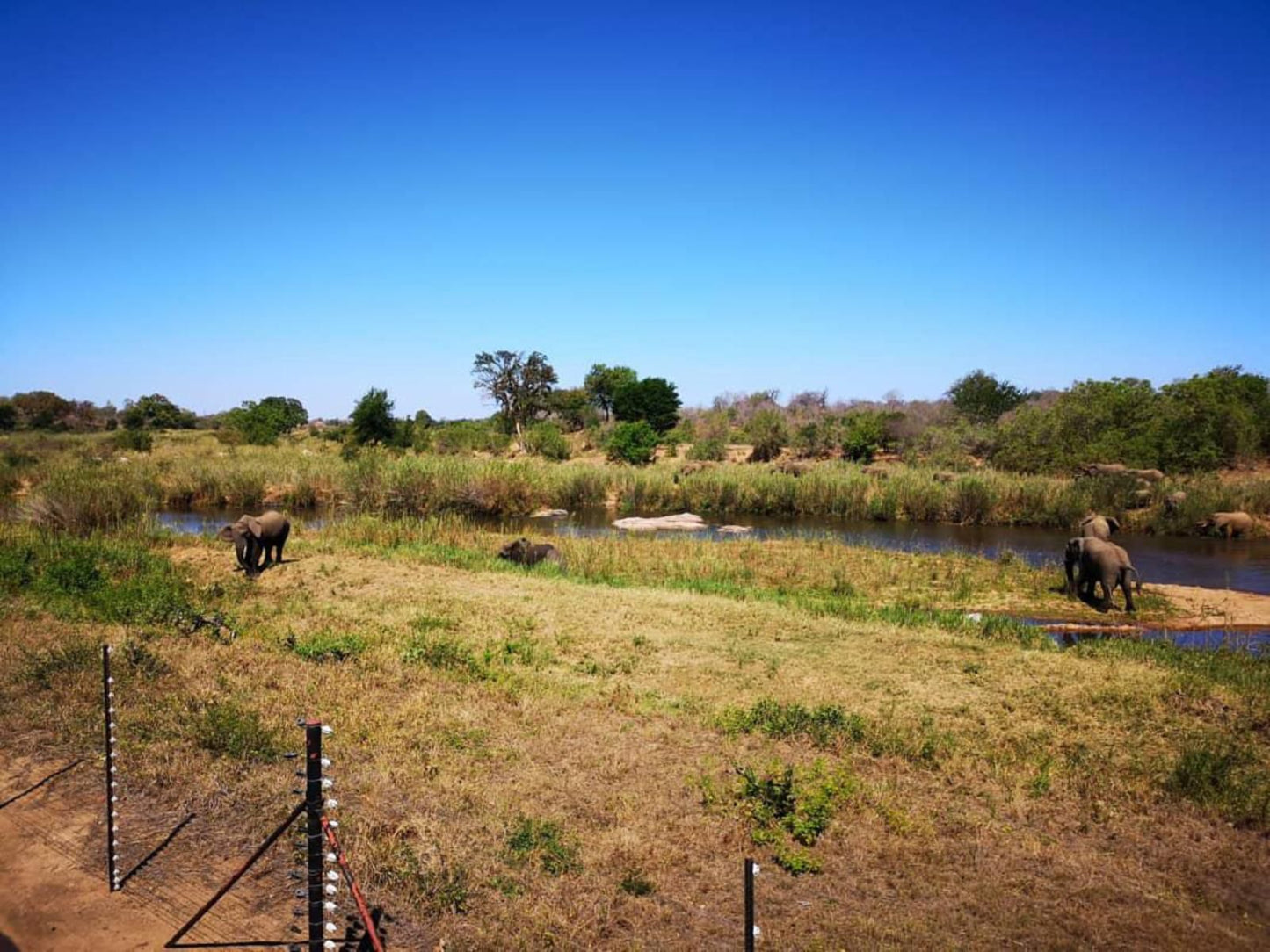 Sabie River Bush Lodge South Kruger Park Mpumalanga South Africa Complementary Colors, Colorful, Lowland, Nature