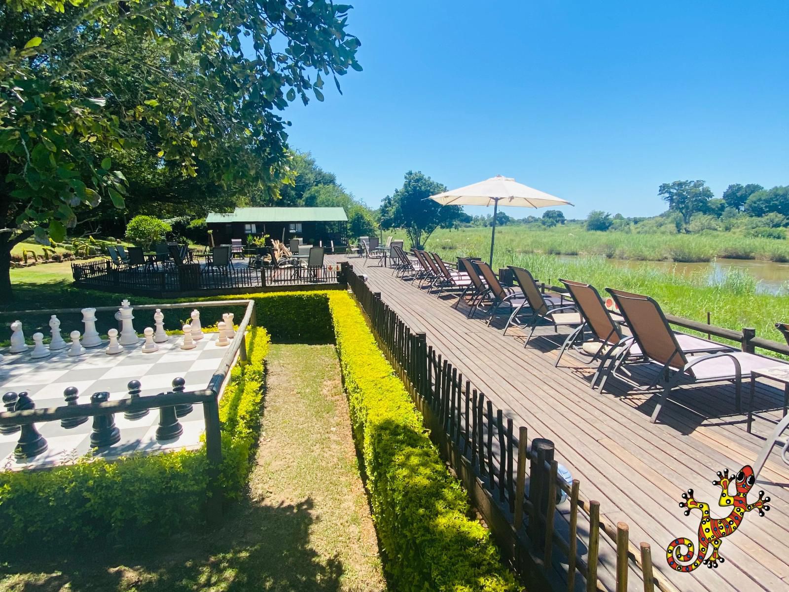 Sabie River Bush Lodge South Kruger Park Mpumalanga South Africa Complementary Colors, Garden, Nature, Plant