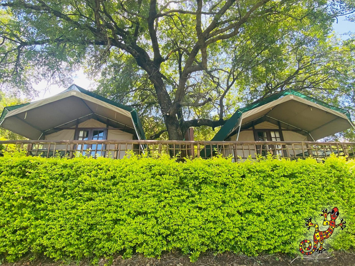 Luxury River Frontage Bush Tent 4 @ Sabie River Bush Lodge