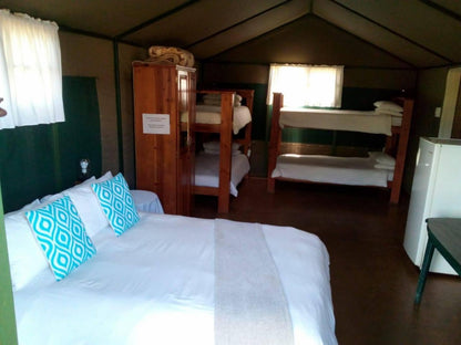 Safari En Suite Double Bed Tents @ Sabie River Camp