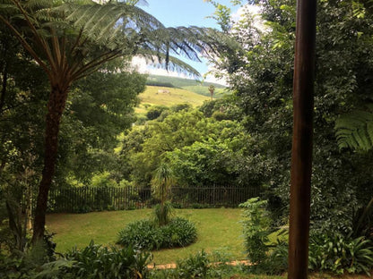 Sabie Self Catering Apartments Sabie Mpumalanga South Africa Palm Tree, Plant, Nature, Wood, Tree, Garden