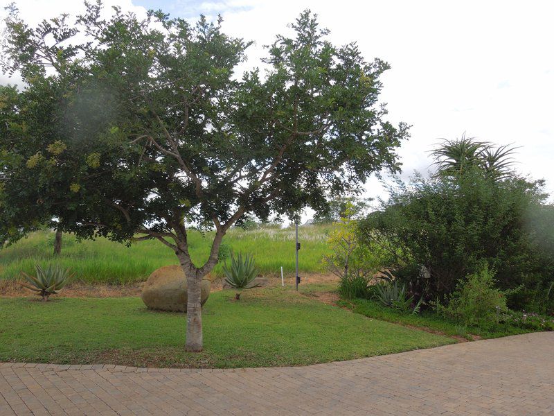 Sabi River Guest House Hazyview Mpumalanga South Africa Plant, Nature