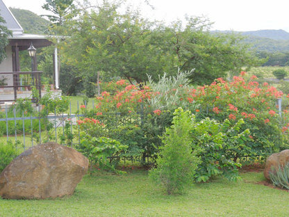 Sabi River Guest House Hazyview Mpumalanga South Africa Plant, Nature, Tree, Wood, Garden