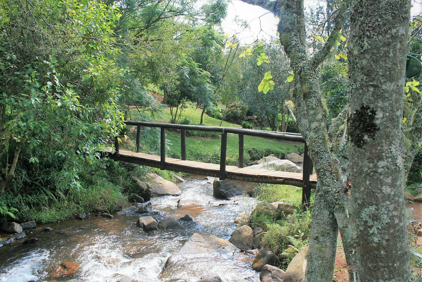 Sabi Star Chalets Sabie Mpumalanga South Africa River, Nature, Waters, Tree, Plant, Wood, Waterfall