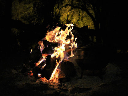 Sable Creek Safari Lodge, Dark, Fire, Nature