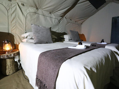 Sable Creek Safari Lodge, Luxury Tents, Tent, Architecture, Bedroom