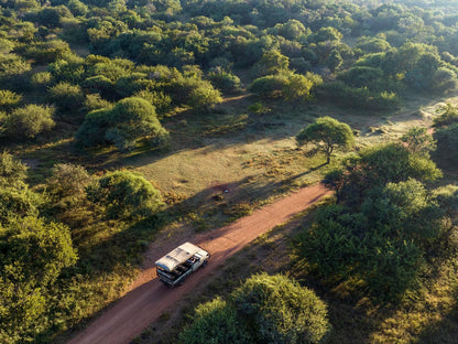 Sable Ranch Bush Lodge, Field, Nature, Agriculture, Forest, Plant, Tree, Wood, Vehicle