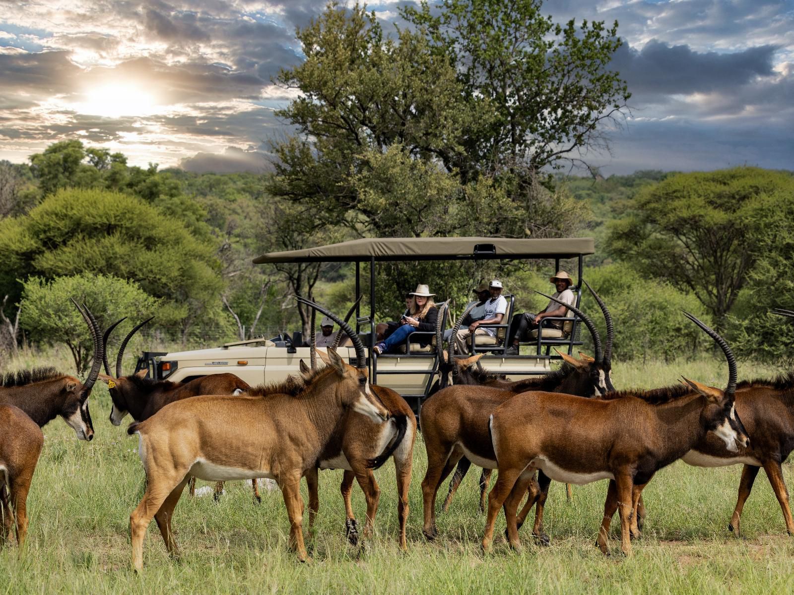 Sable Ranch Bush Lodge, Person