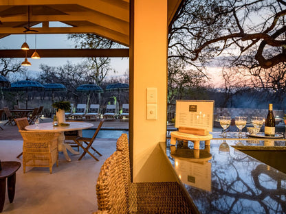 Safari Moon Luxury Bush Lodge Hoedspruit Limpopo Province South Africa 