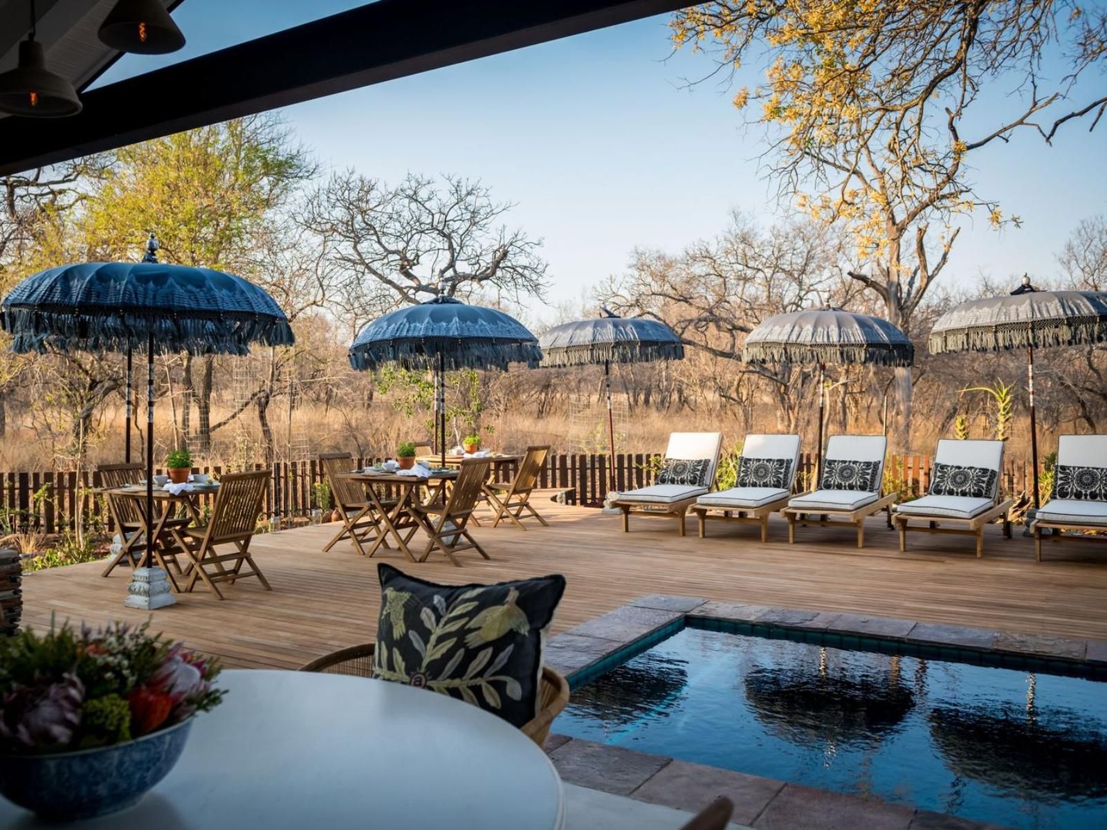 Safari Moon Luxury Bush Lodge Hoedspruit Limpopo Province South Africa Swimming Pool