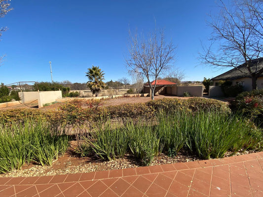 Safari Travelodge, Colorful, Palm Tree, Plant, Nature, Wood, Garden