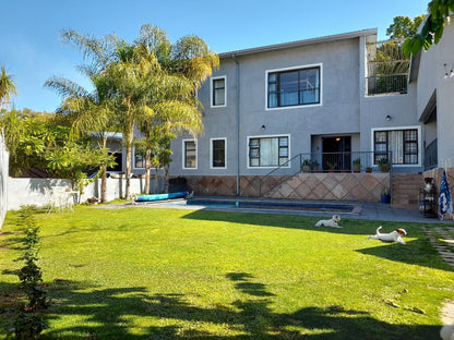 Safari Villa Boutique Hotel, House, Building, Architecture, Palm Tree, Plant, Nature, Wood