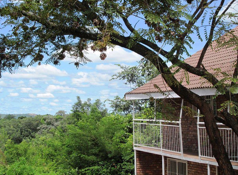 Hazyview Houses Hazyview Mpumalanga South Africa Complementary Colors, Tree, Plant, Nature, Wood