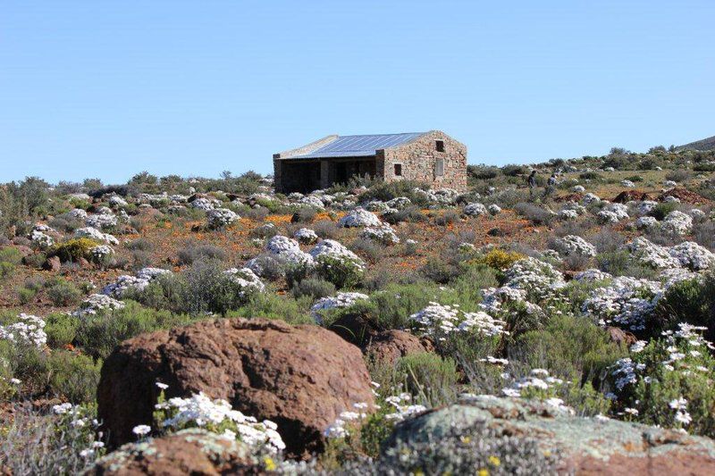 Saffraan Sutherland Northern Cape South Africa Building, Architecture, Cactus, Plant, Nature, Ruin