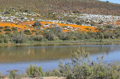 Saffraan Sutherland Northern Cape South Africa River, Nature, Waters