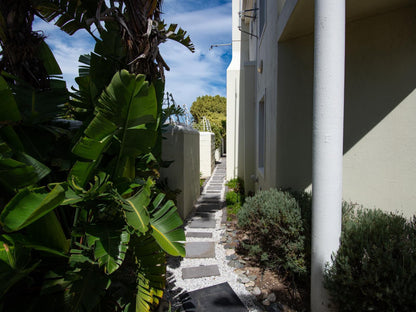 Saffron House Guesthouse Sunset Beach Cape Town Western Cape South Africa House, Building, Architecture, Palm Tree, Plant, Nature, Wood