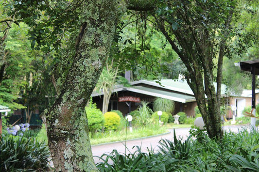 Sakabula Country Lodge Camperdown Kwazulu Natal South Africa House, Building, Architecture, Palm Tree, Plant, Nature, Wood