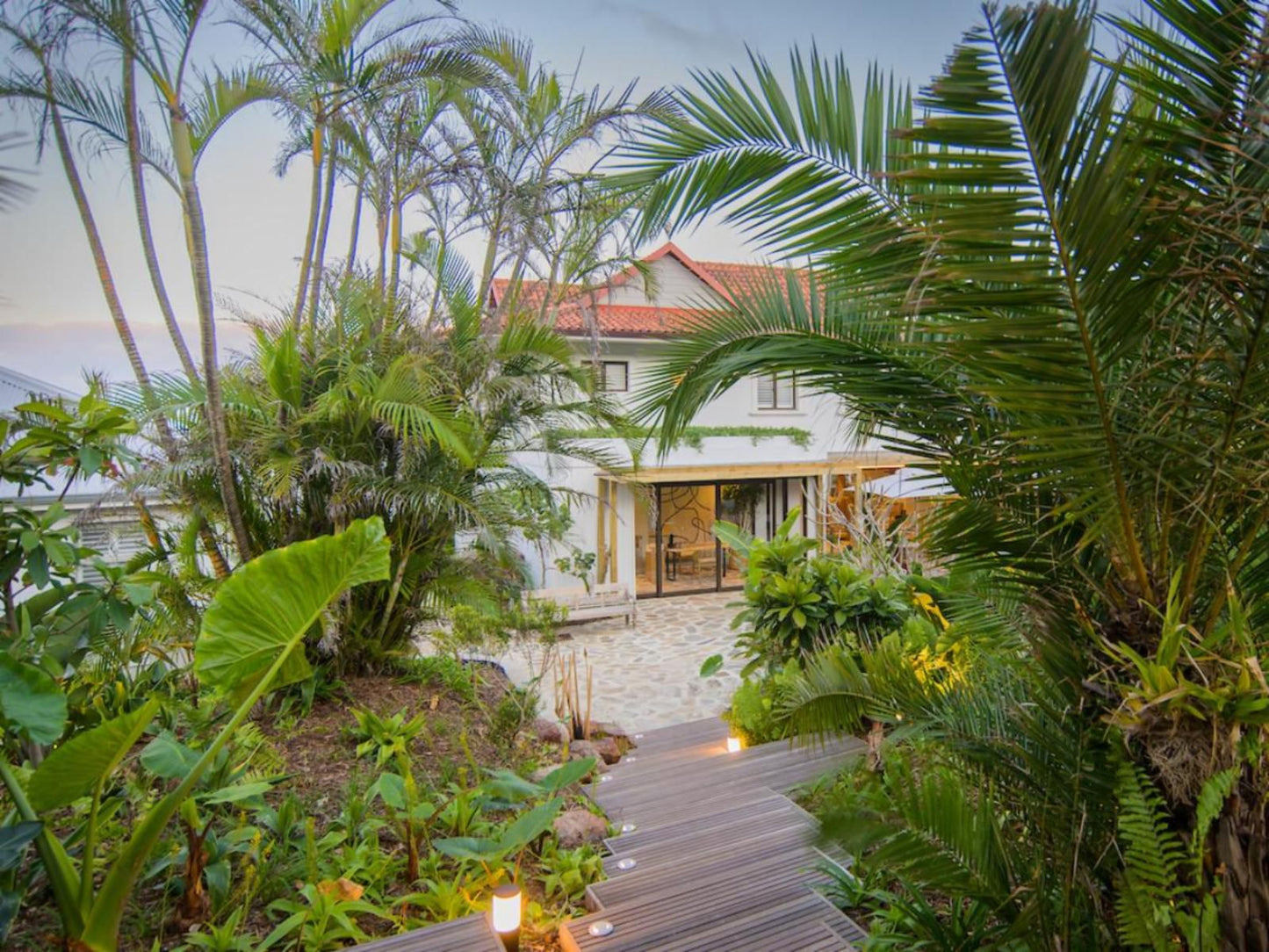 Sala Beach House, Palm Tree, Plant, Nature, Wood, Garden