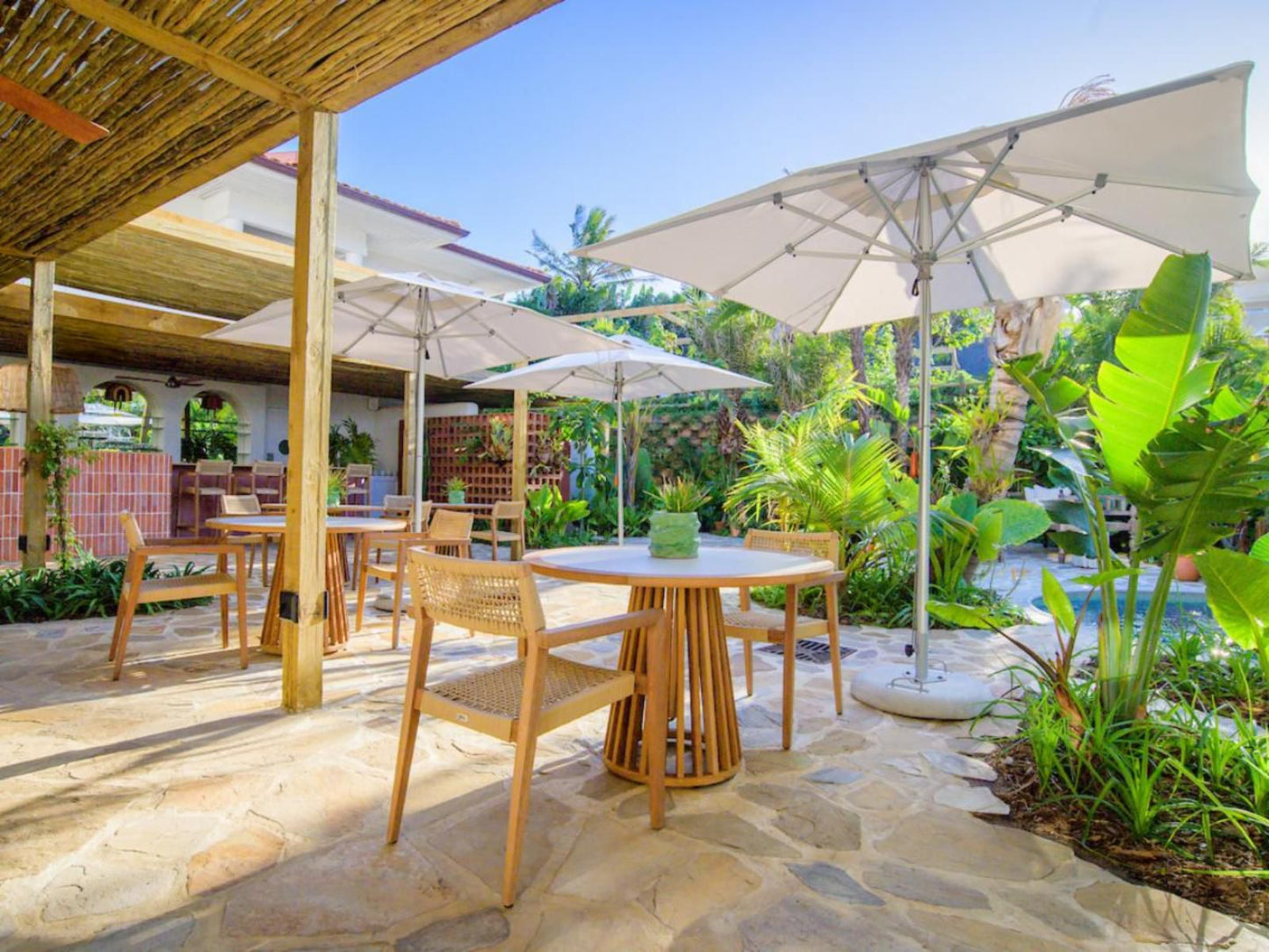 Sala Beach House, Palm Tree, Plant, Nature, Wood