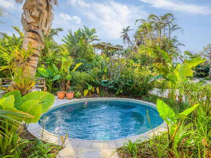 Sala Beach House, Palm Tree, Plant, Nature, Wood, Garden, Swimming Pool