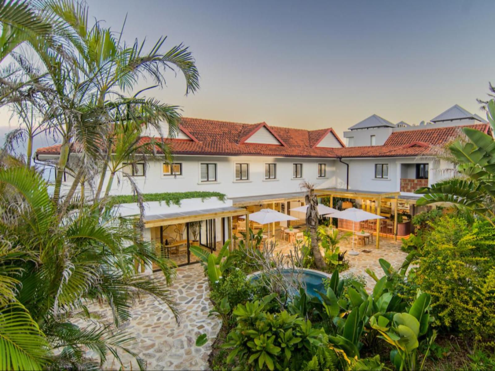 Sala Beach House, House, Building, Architecture, Palm Tree, Plant, Nature, Wood