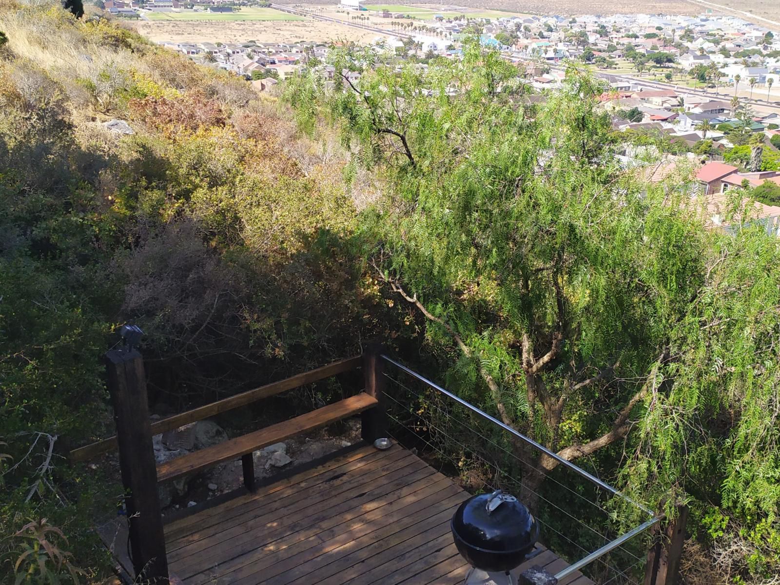 Saldanha Bay View Saldanha Western Cape South Africa Tree, Plant, Nature, Wood