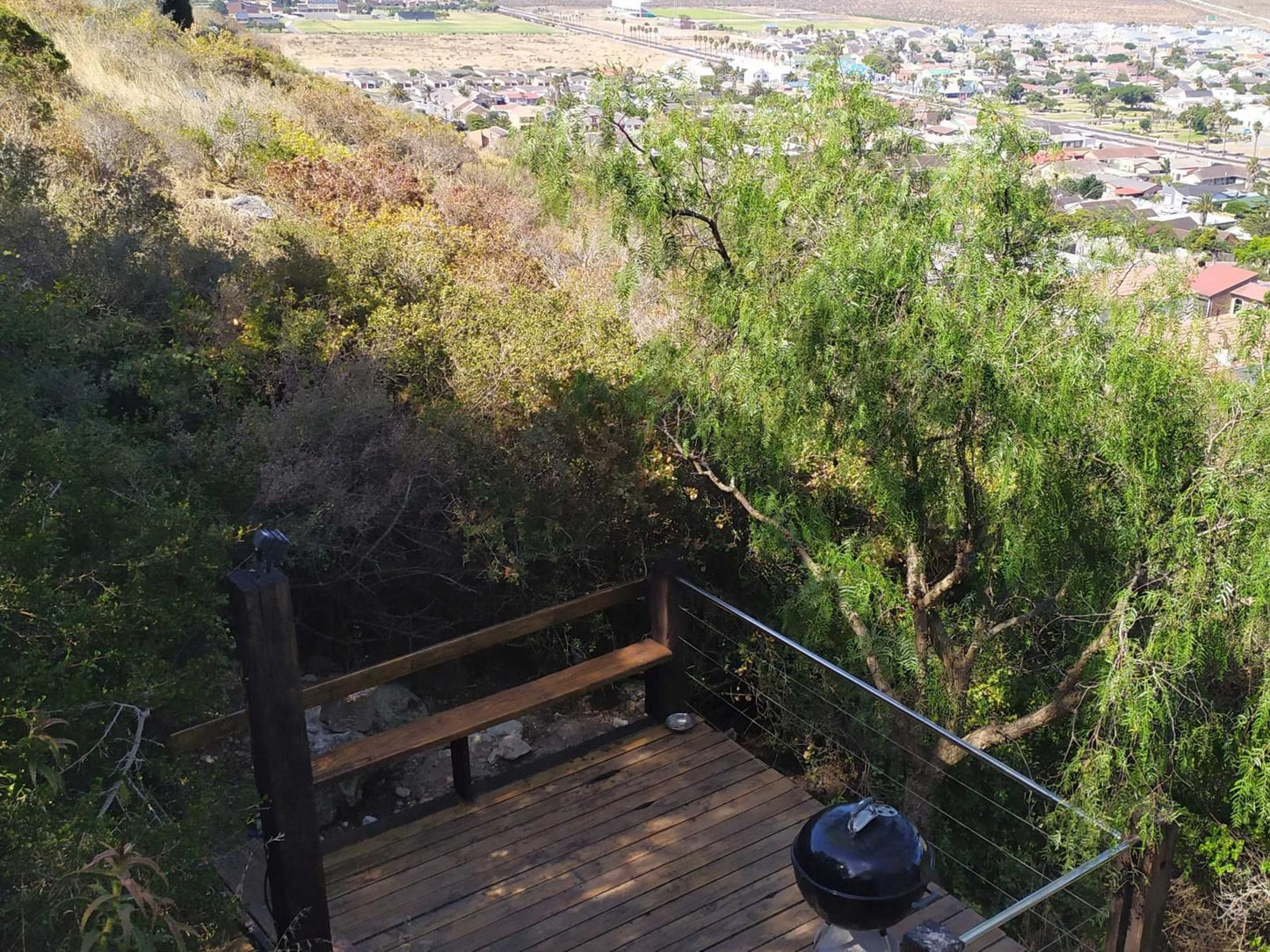 Saldanha Bay View Saldanha Western Cape South Africa Tree, Plant, Nature, Wood