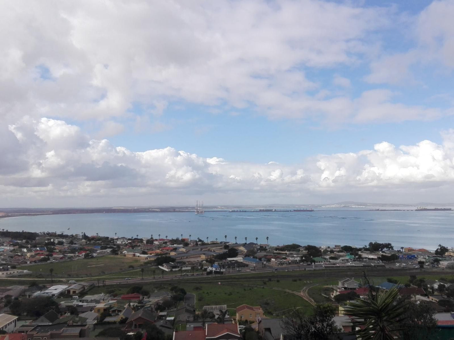 Saldanha Bay View Saldanha Western Cape South Africa Palm Tree, Plant, Nature, Wood